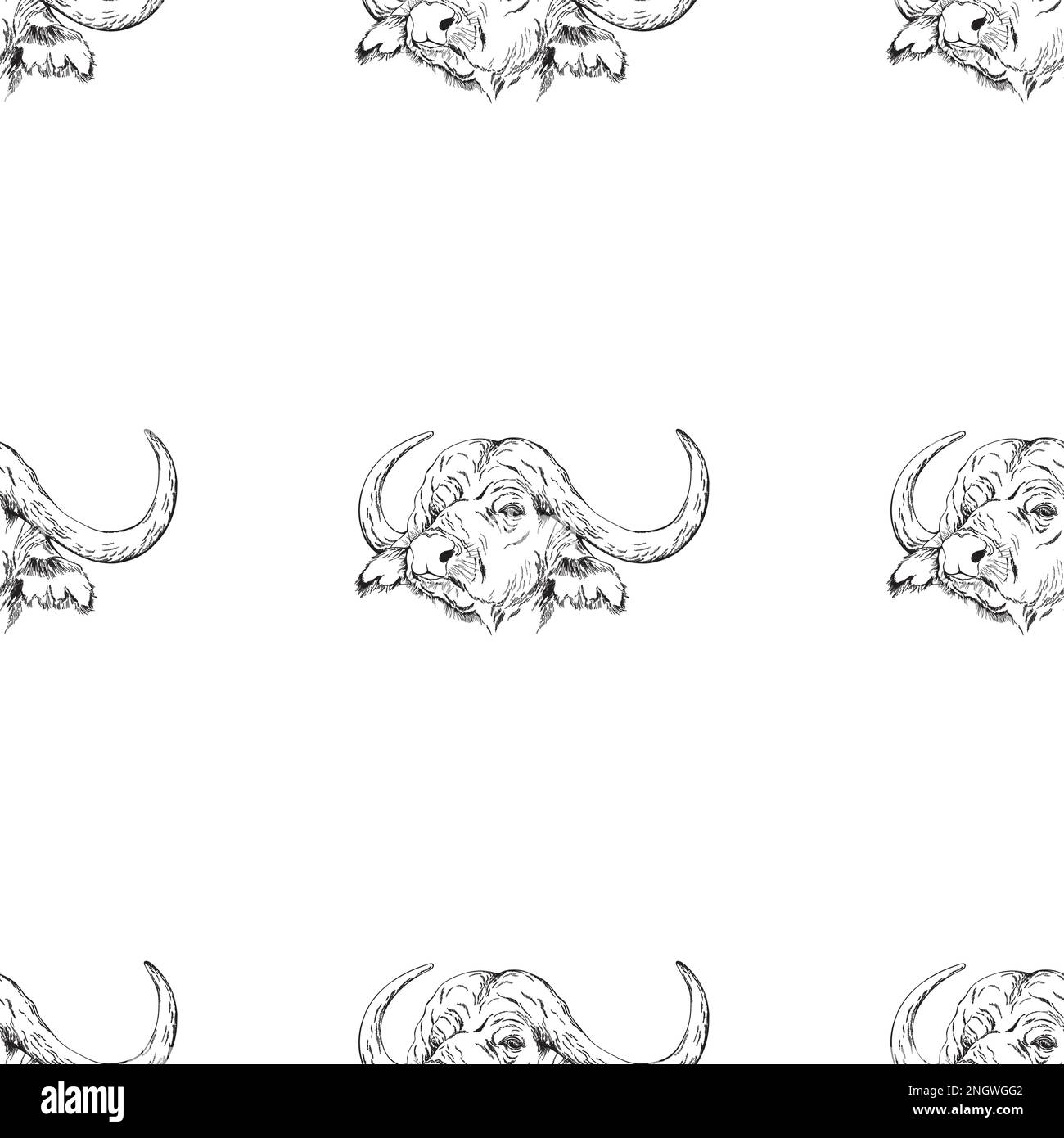 Seamless pattern of hand drawn sketch style Buffalo. Vector ...