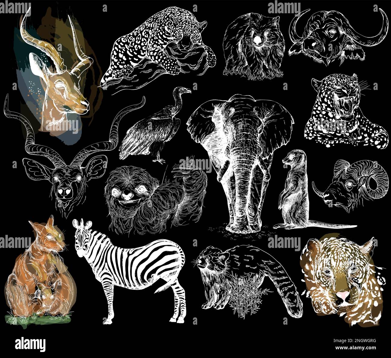 Big set of hand drawn sketch style animals isolated on black background. Vector illustration. Stock Vector
