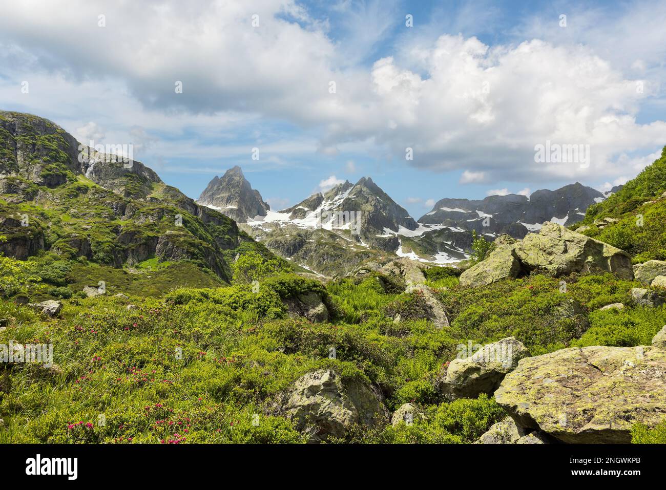 Swiss alps mountain range panorama hi-res stock photography and images ...