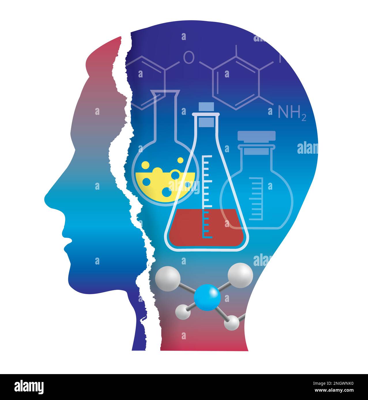 Student of Chemistry,biochemistry, torn paper silhouette. Male head stylized silhouette with Chemistry symbols and formulas. Vector available. Stock Vector