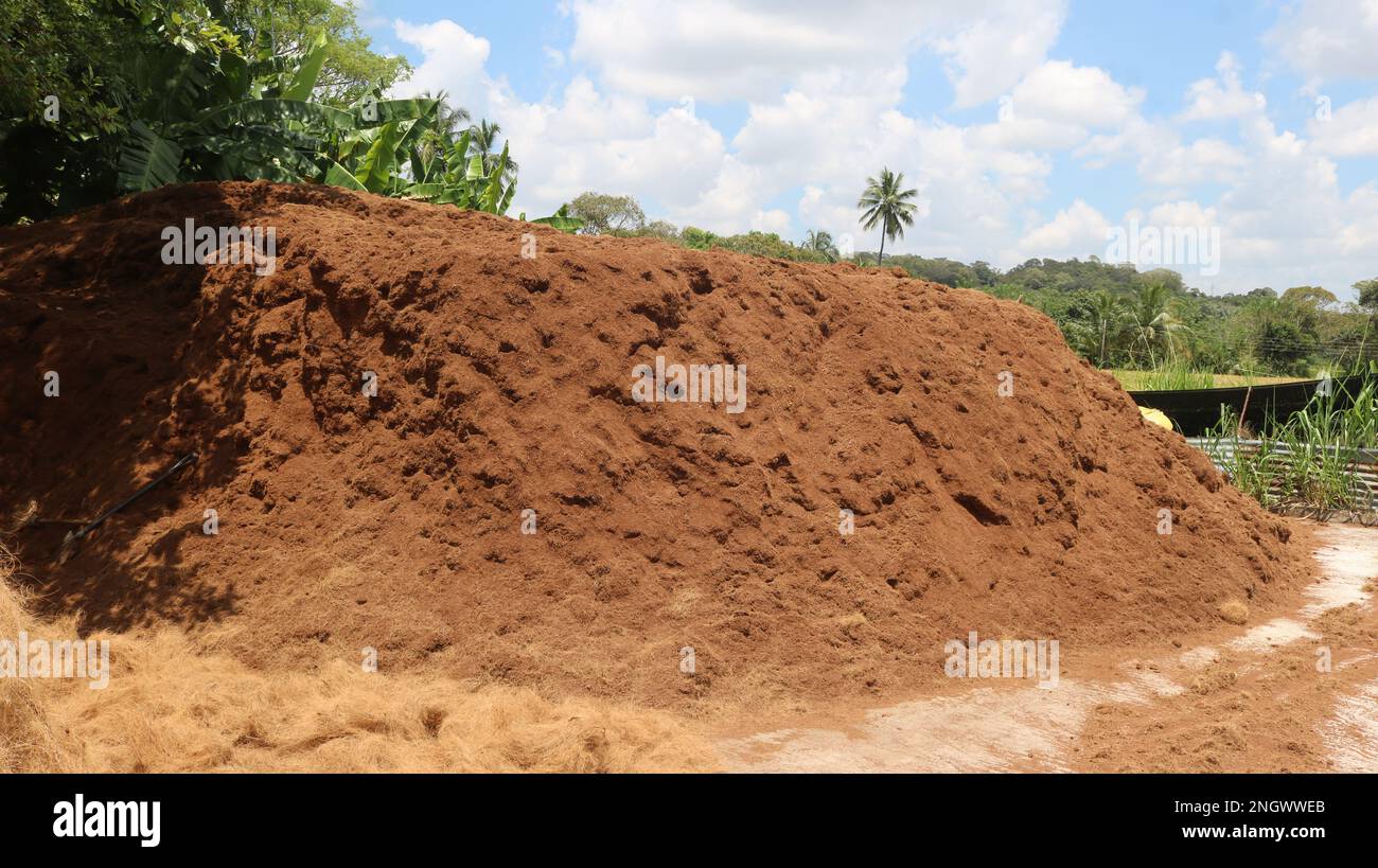 Making Coconut coir. Factory of Coconut Fiber Stock Photo Alamy