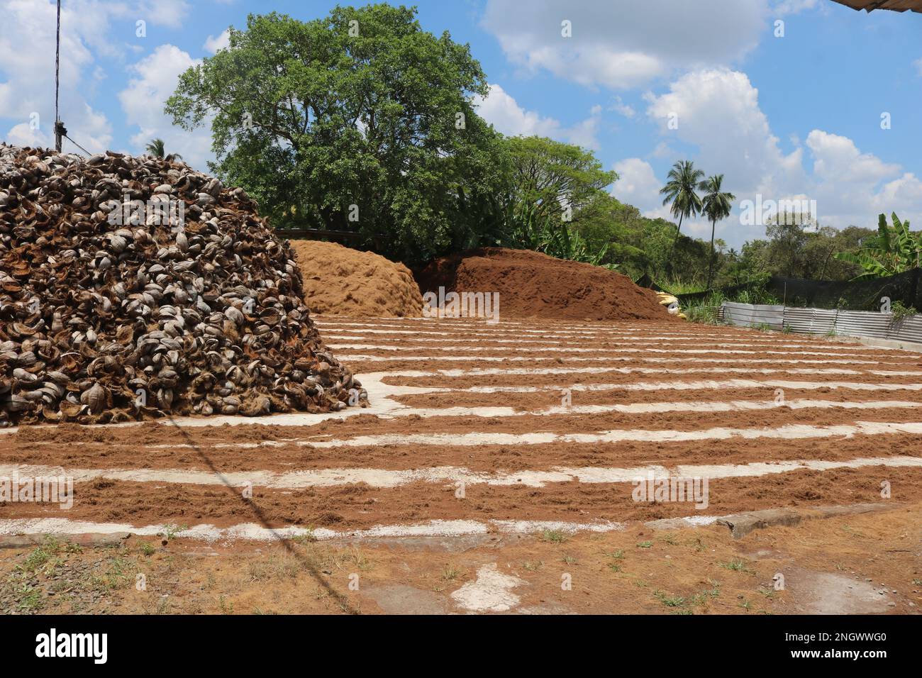 Making Coconut coir. Factory of Coconut Fiber Stock Photo Alamy