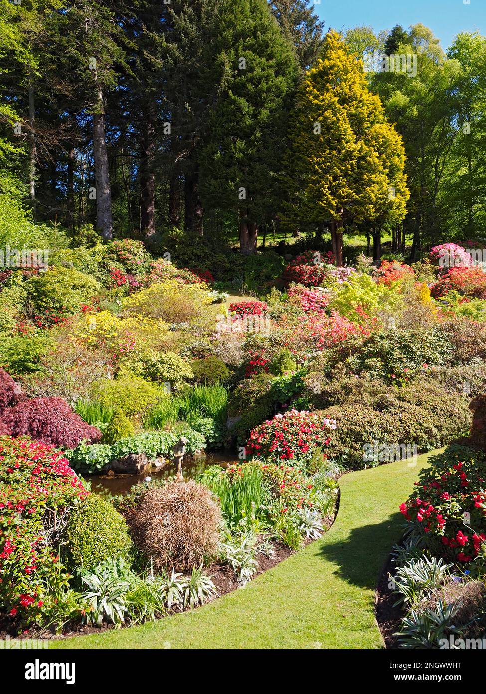 English country garden in full colour Stock Photo - Alamy