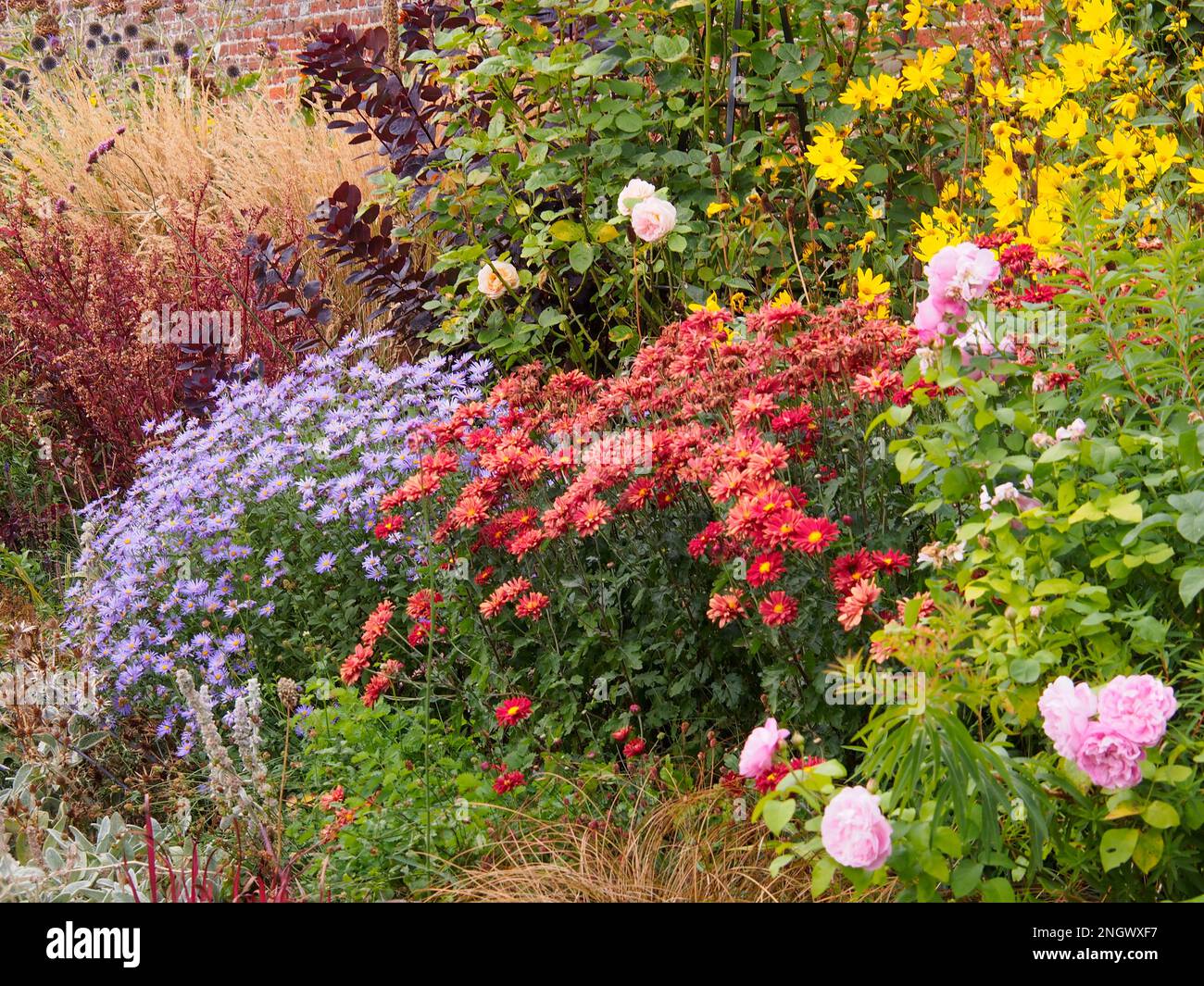 English country garden in full colour Stock Photo - Alamy