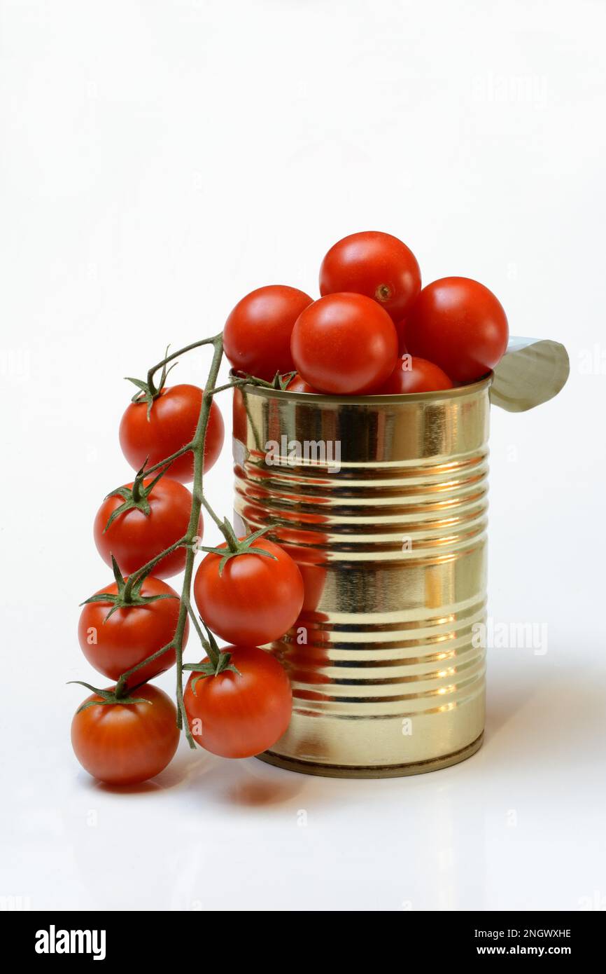 Tinned tomatoes, cherry tomatoes Stock Photo Alamy