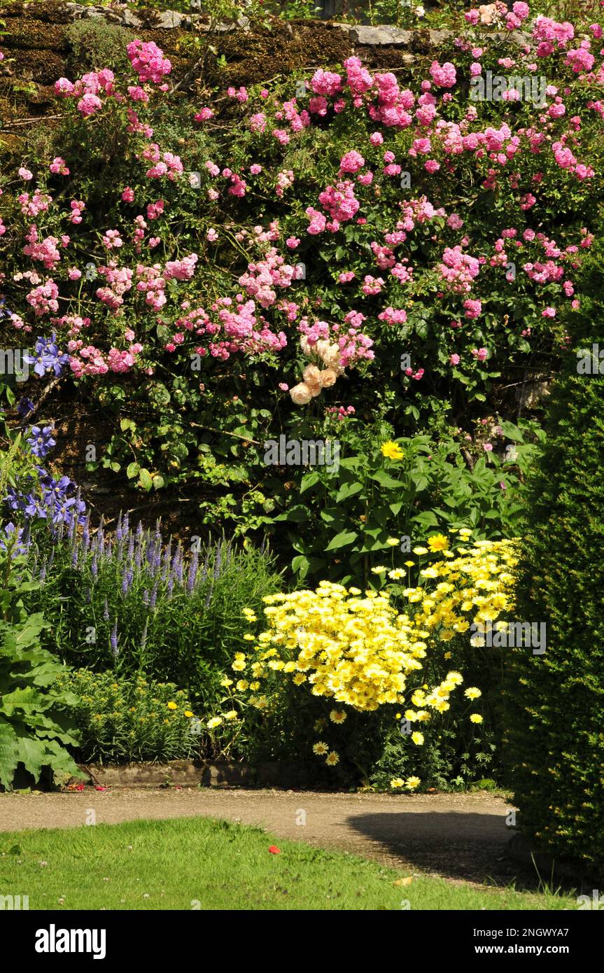 English country gardens and borders with flowers, plants, bushes trees