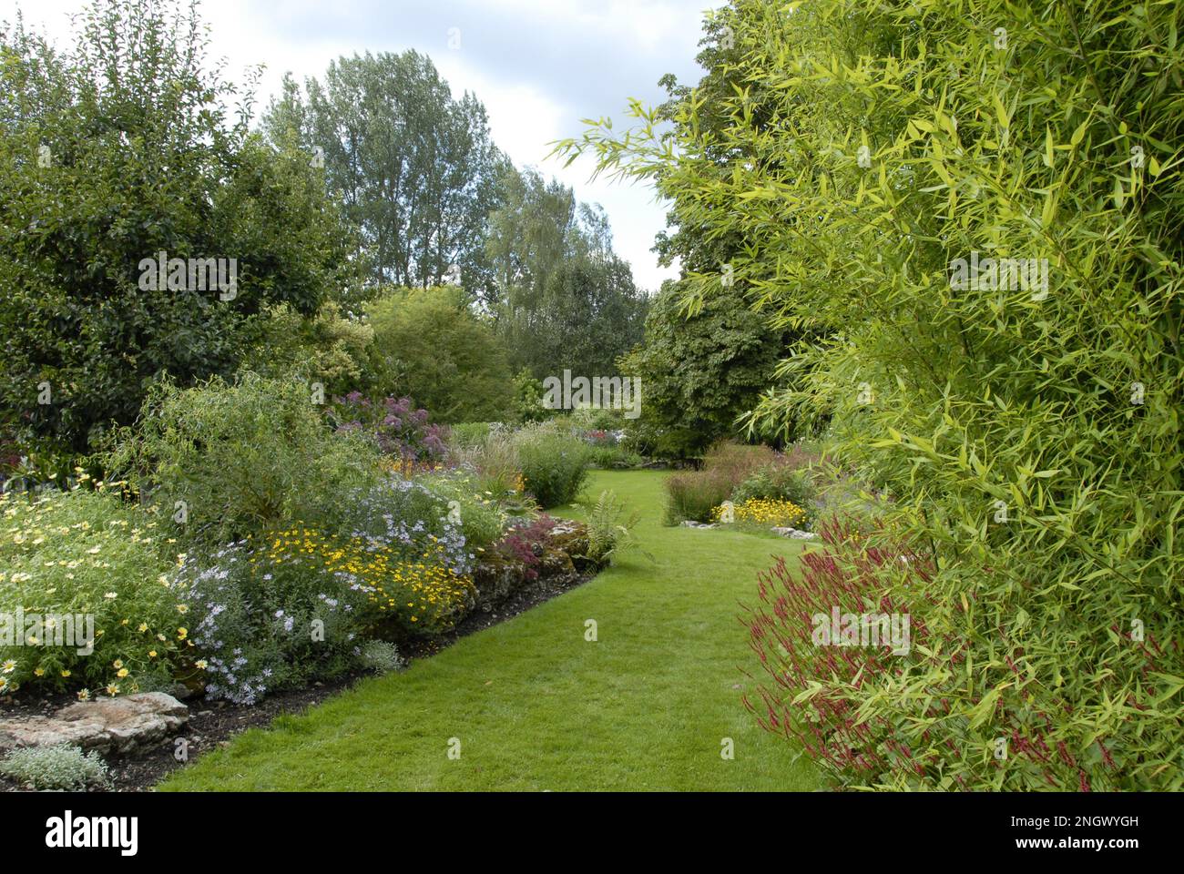 English country garden in full colour Stock Photo - Alamy