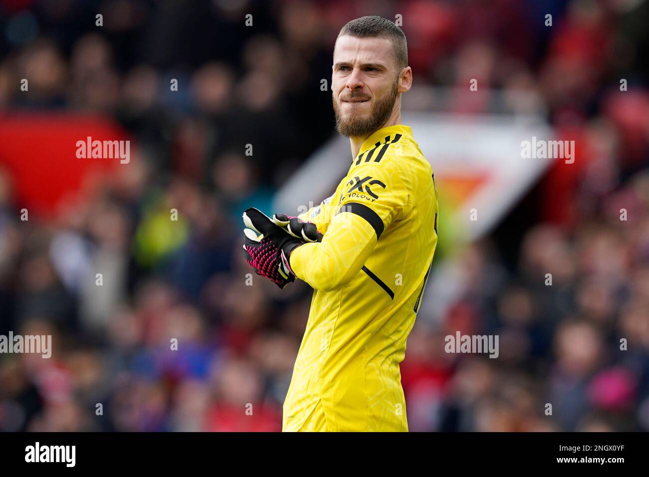 Manchester, UK. 19th Feb, 2023. David De Gea of Manchester United during the Premier League match at Old Trafford, Manchester. Picture credit should read: Andrew Yates/Sportimage Credit: Sportimage/Alamy Live News Stock Photo