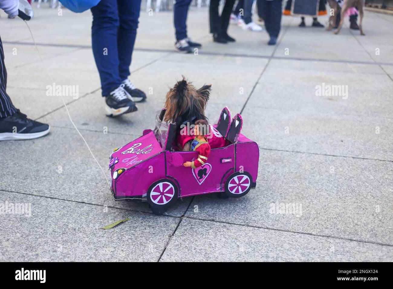 Aviles, Spain, 19th February, 2023: A dog in the Barbie car with Ken during the Antroxaes Pet Contest on February 18, 2023, in Aviles, Spain. Credit: Alberto Brevers / Alamy Live News Stock Photo
