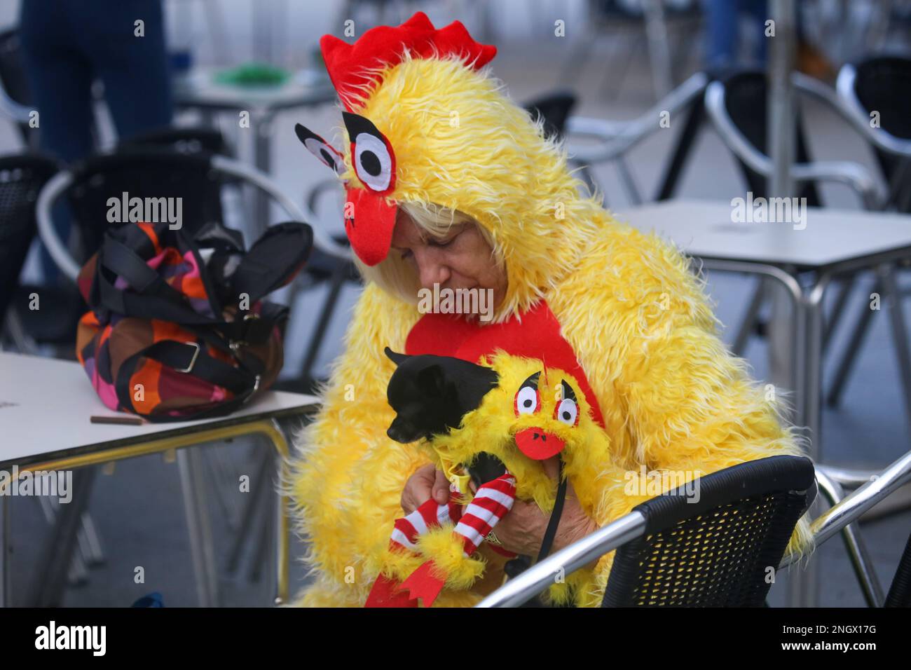 Aviles, Spain, 19th February, 2023: A lady and her dog dressed as chickens during the Antroxaes Mascot Contest on February 18, 2023, in Aviles, Spain. Credit: Alberto Brevers / Alamy Live News Stock Photo