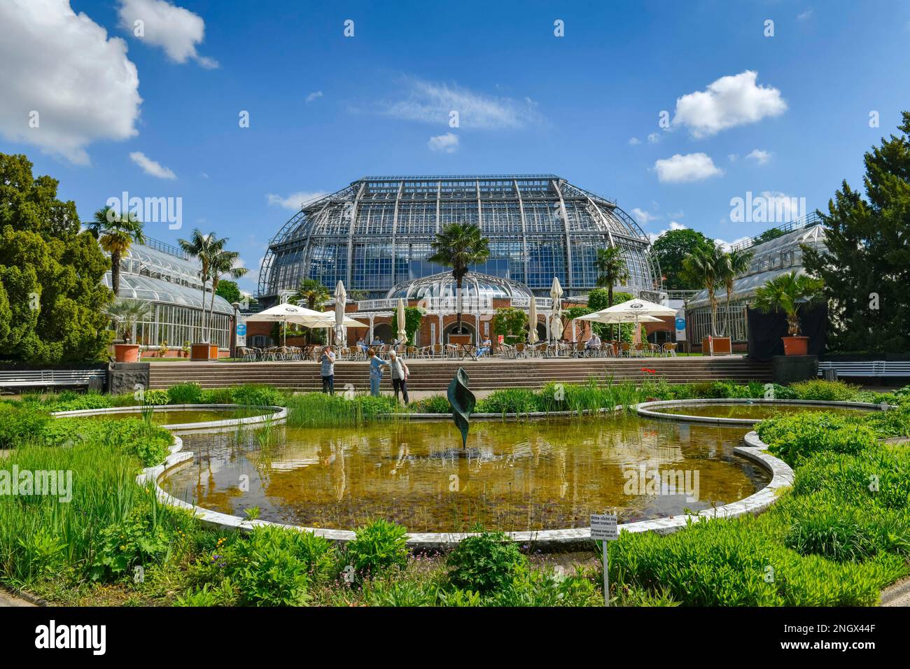 Large Tropical House, Botanical Garden, KoeniginLuise, Lichterfelde