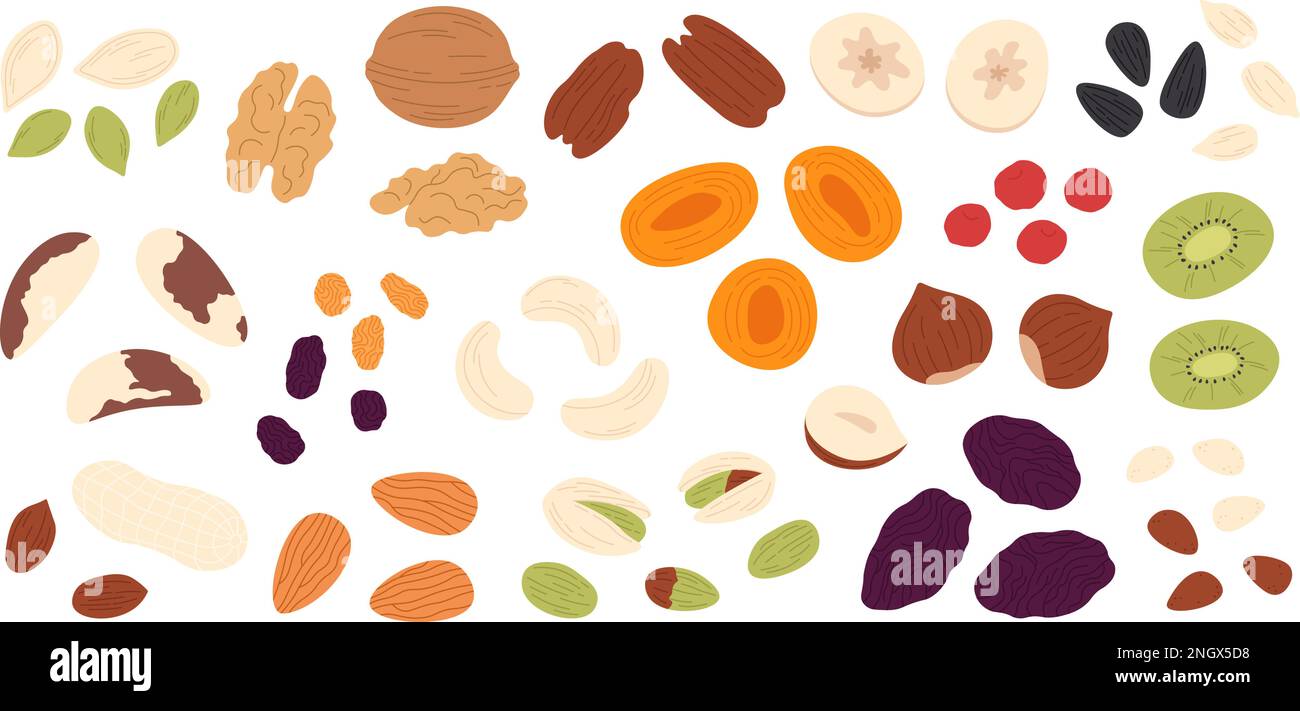 Dried fruits seeds and nuts. Crunchy fruit, dry fresh nut, banana, apricot. Granola cereal, morning nature healthy food. Breakfast or snack racy Stock Vector