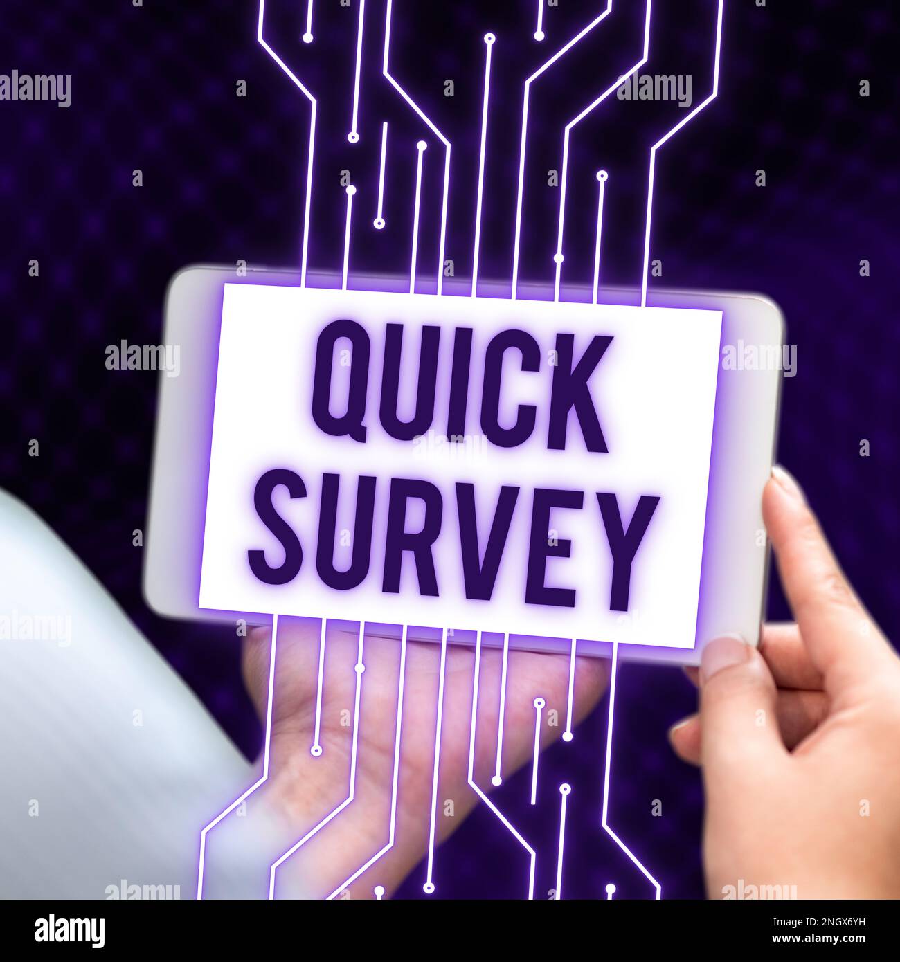 Inspiration showing sign Quick Survey. Internet Concept Conduct fast ...