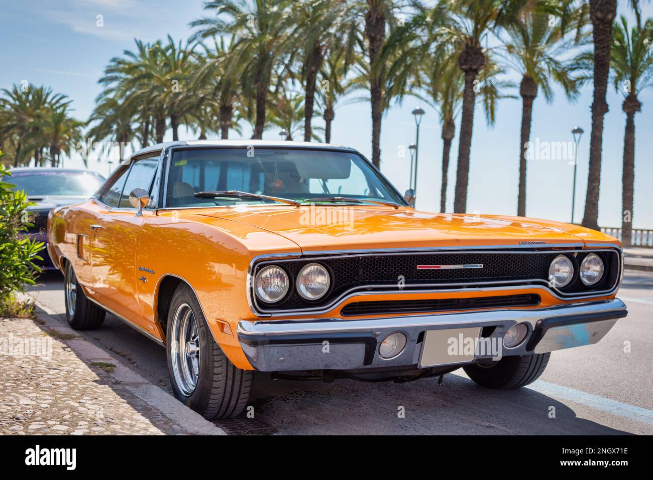 orange vintage car on the street with palm trees Stock Photo Alamy