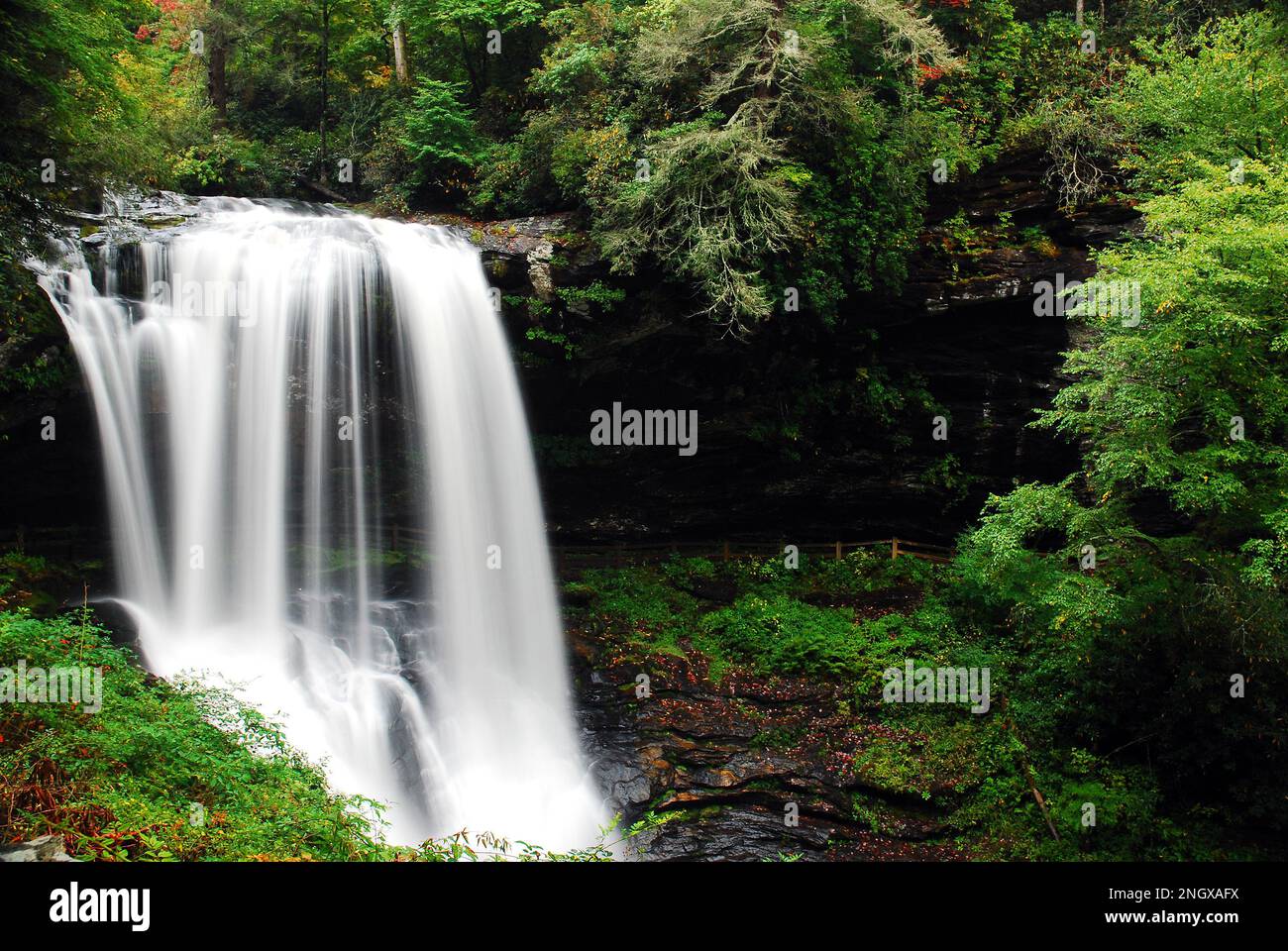 A serene waterfall flows in a lush forest Stock Photo