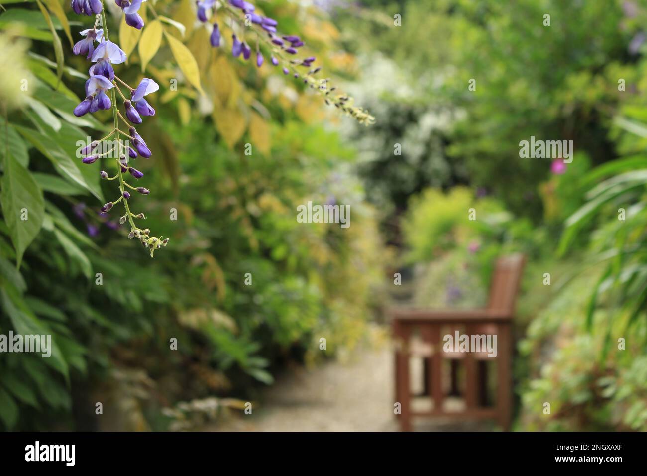 An alcove garden hires stock photography and images Alamy