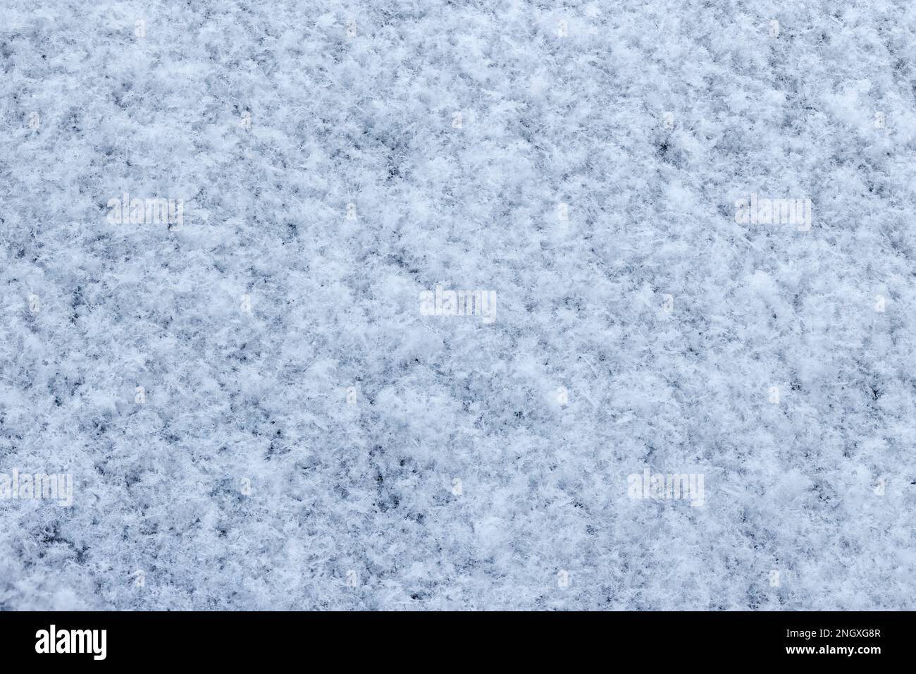 snow covered car windshield texture and background Stock Photo - Alamy