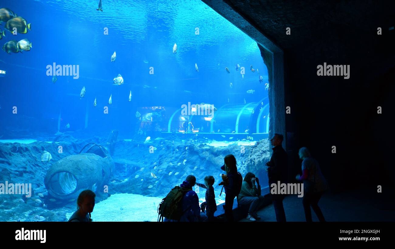 Observing Fish Lodz, Poland. 16 February 2023. Orientarium Zoo Lodz. People observing ...