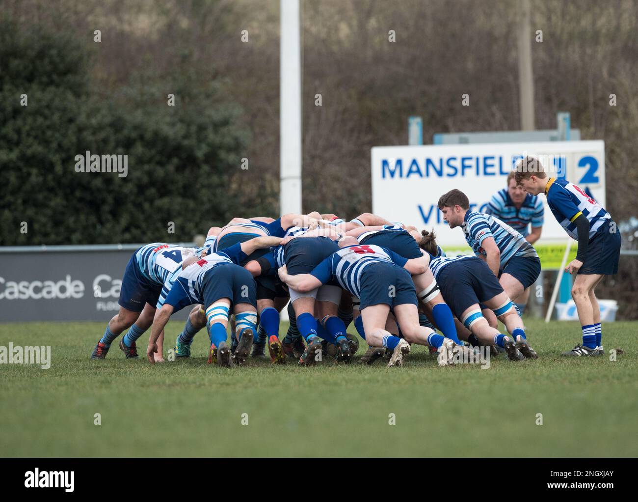 English mens amateur Rugby Union players playing in a league game Stock