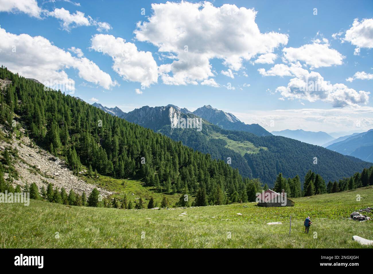 Wilde Natur in den abgelegenen Seitentälern des Valle Mesolcina im Süden Graubündens Stock Photo