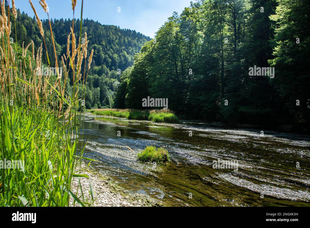 Blühende Natur am Grenzfluss Doubs Stock Photo