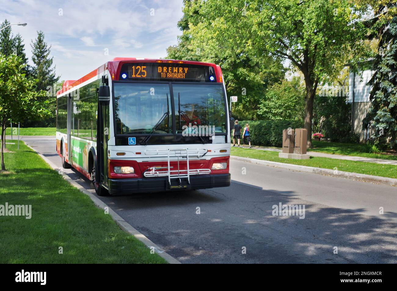 TTC bus on a quiet street in summer. Toronto Transit Commission offers all sorts of city public transportation - subway, streetcars or buses Stock Photo