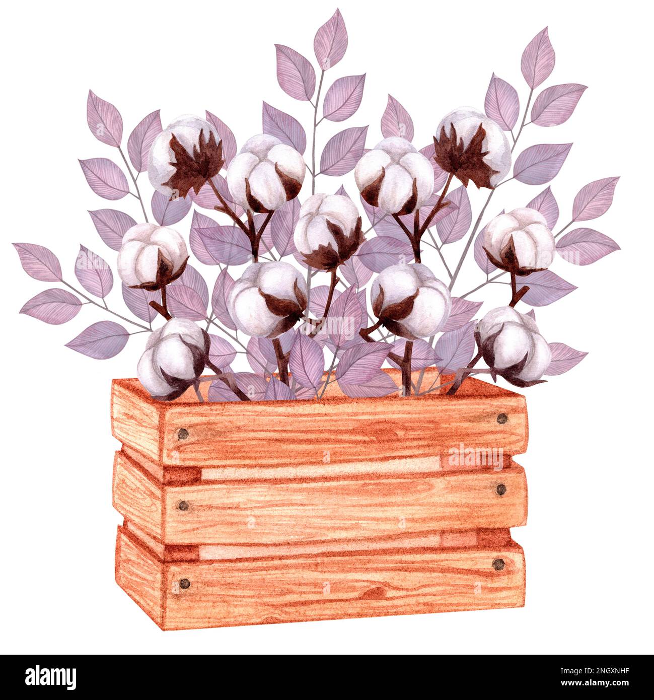 Wooden box with sprigs of cotton and abstract lilac leaves. Hand-drawn ...