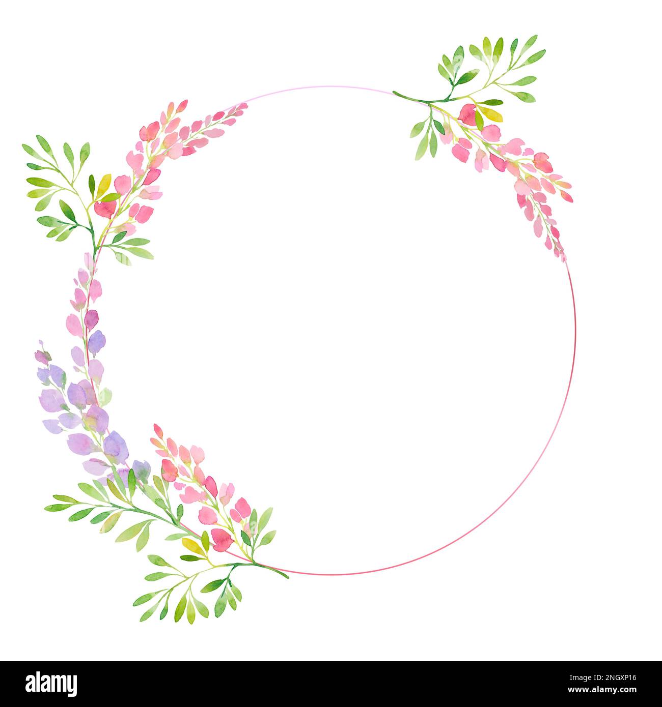 pink and purple wisteria frame,  branches and flowers, watercolor illustration. Stock Photo