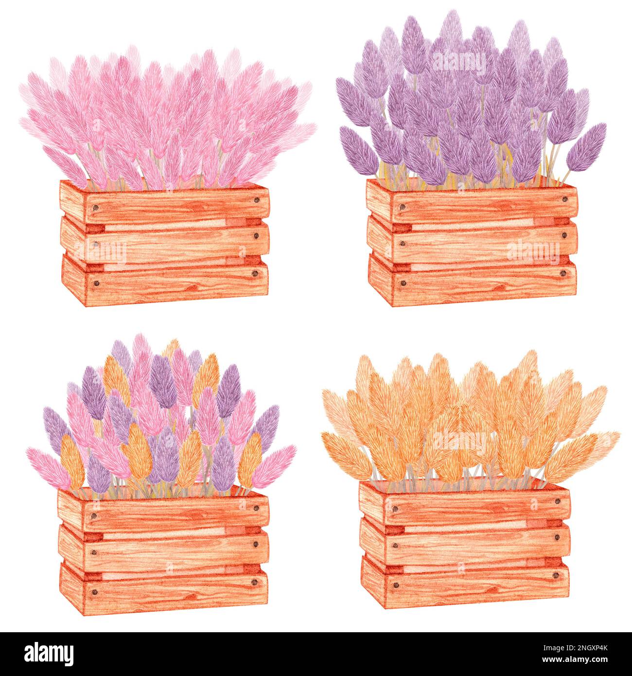 Wooden box with pink, lilac and yellow dried flowers. Handdrawn