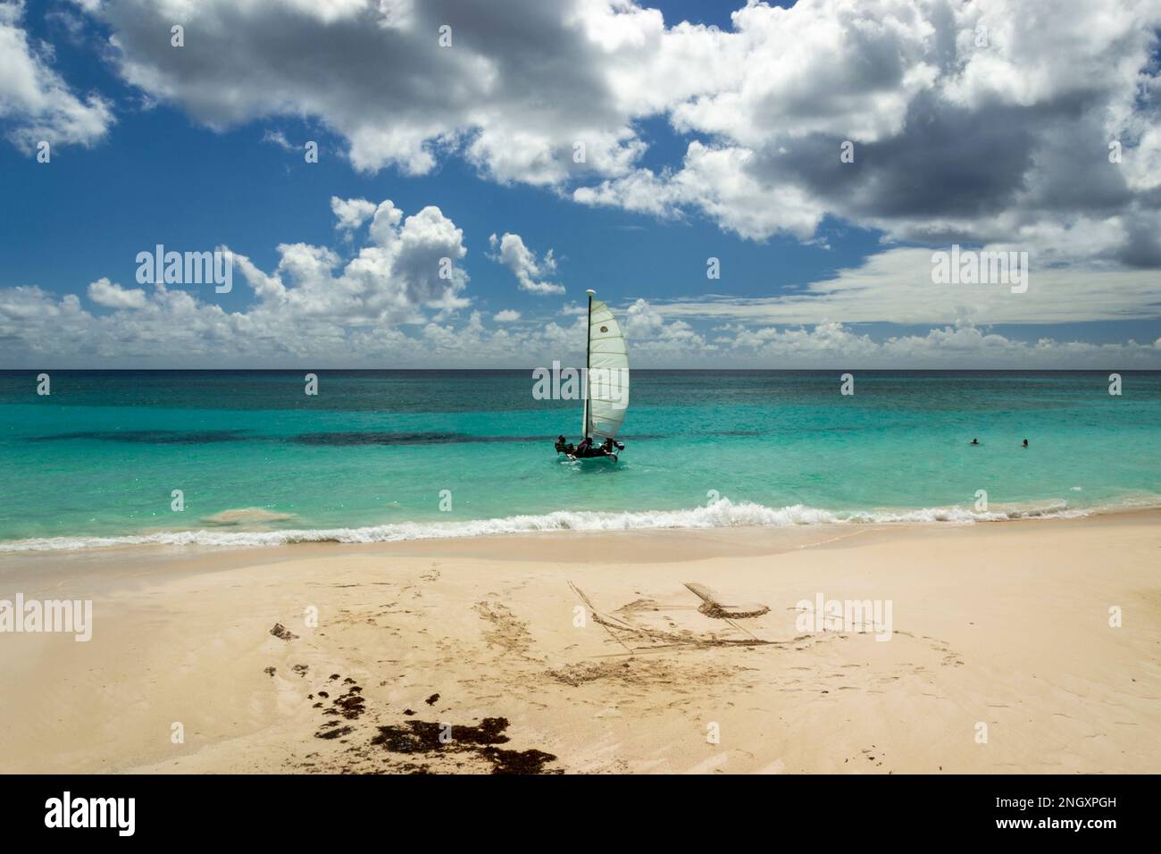 Maxwell beach Barbados, turquoise sea, white sand and palm trees Stock