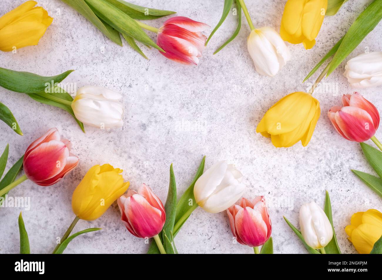 Flower composition. Border with colorful spring flowers Stock Photo - Alamy