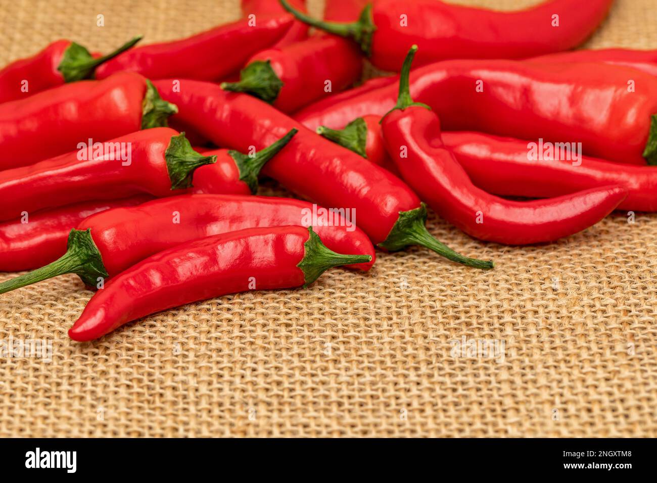 Red cayenne peppers. Hot pepper farming, fresh and organic vegetables