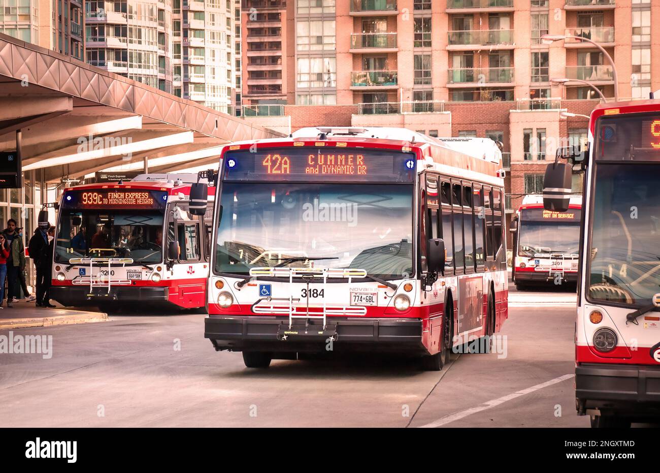 Toronto, Ontario, Canada - 10 03 2022: NOVABUS buses owned by Toronto Transit Commission at Finch subway station bus terminal. Nova Bus is a Canadian Stock Photo