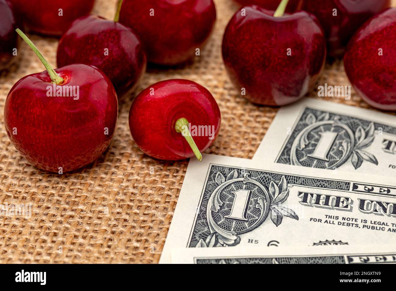 Fresh cherries with cash money. Cherry farming, price and organic food