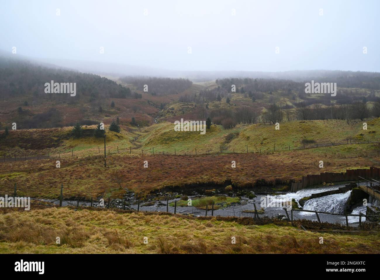 Glen Devon moorland and hills in the mist Stock Photo Alamy
