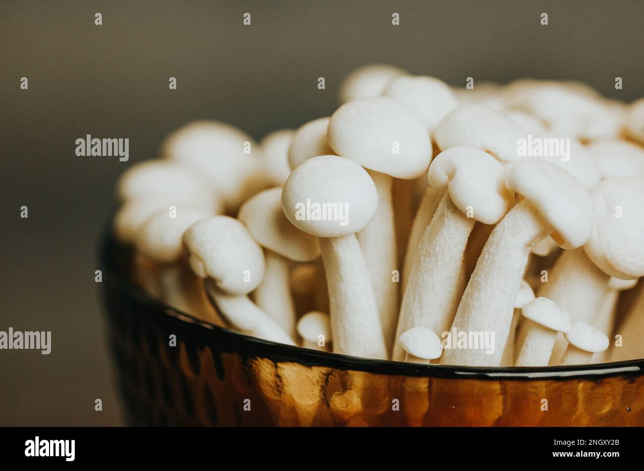 Prato com shitake shimeji e champignon hi-res stock photography