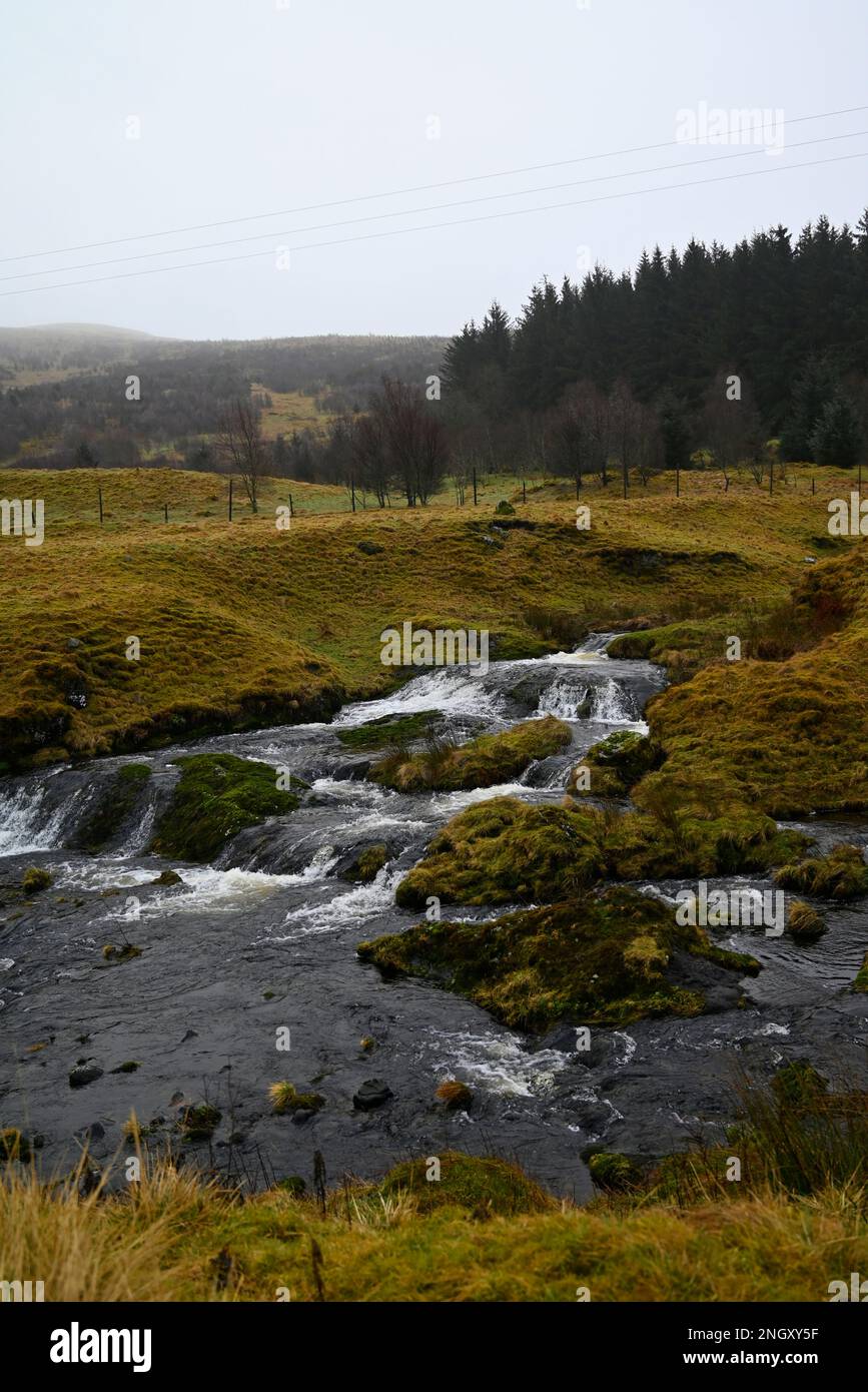 Devon trout stream hi-res stock photography and images - Alamy