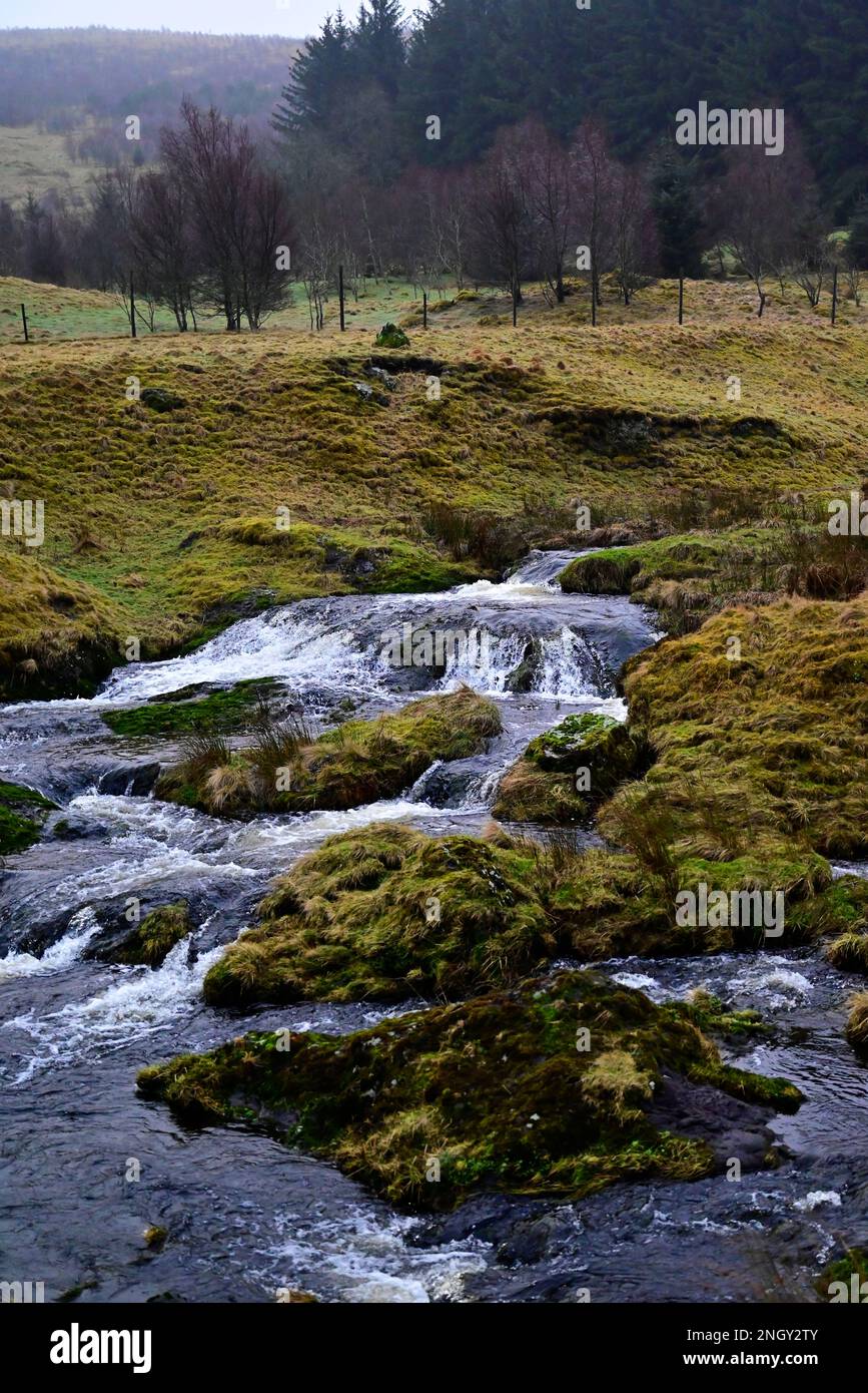 Devon trout stream hi-res stock photography and images - Alamy