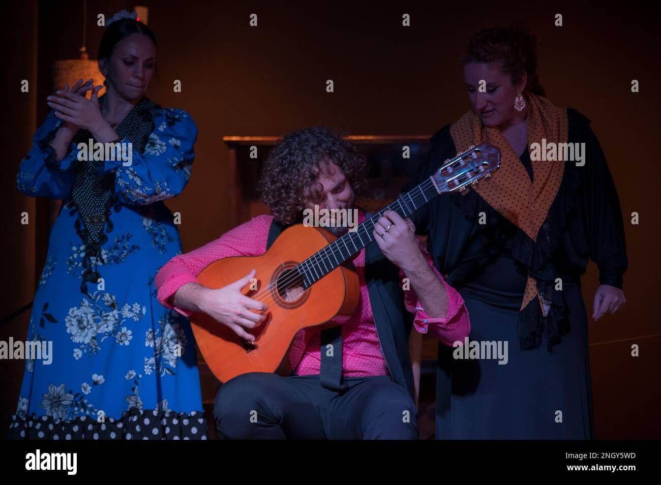 Malaga, Spain - January 15, 2023: Flamenco performance at interactive