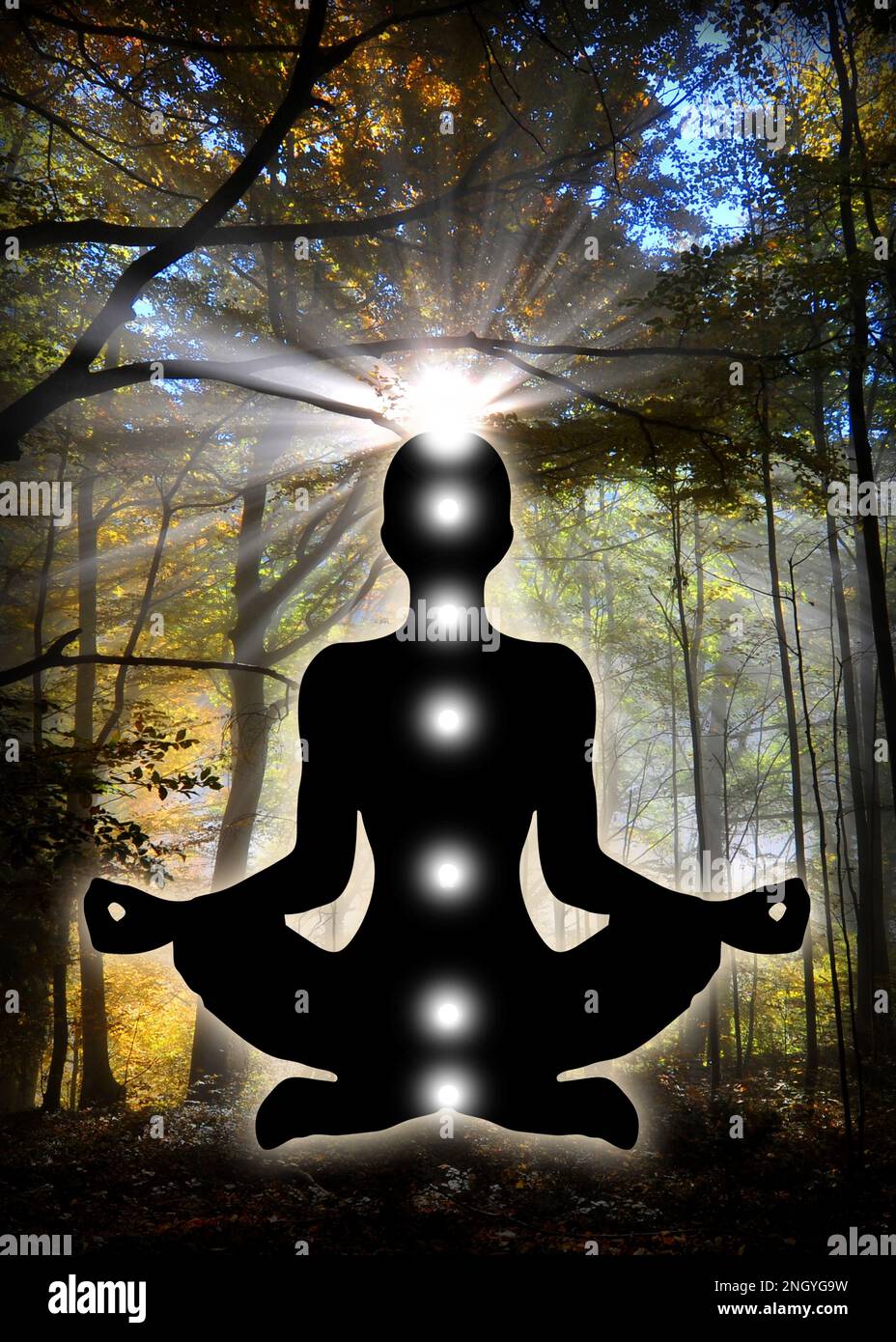 Human silhouette in yoga / lotus pose with 7 Chakras Symbols and Flower of Life. (Human energy body, aura, yoga lotus pose). Stock Photo