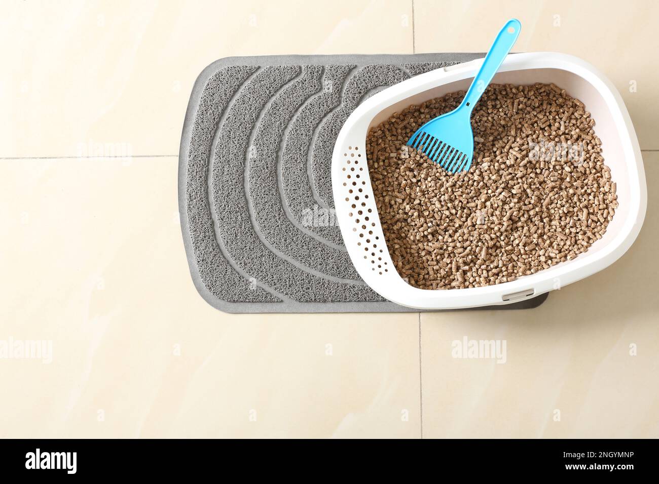 Cat tray with biodegradable litter and scoop on floor, top view. Space