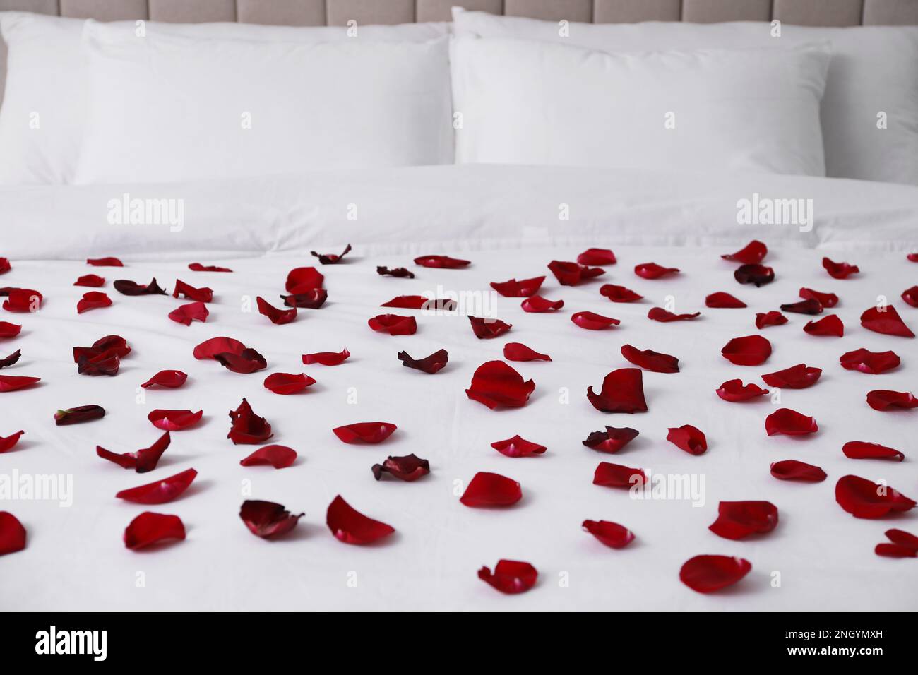 Beautiful red rose petals on bed in room Stock Photo Alamy