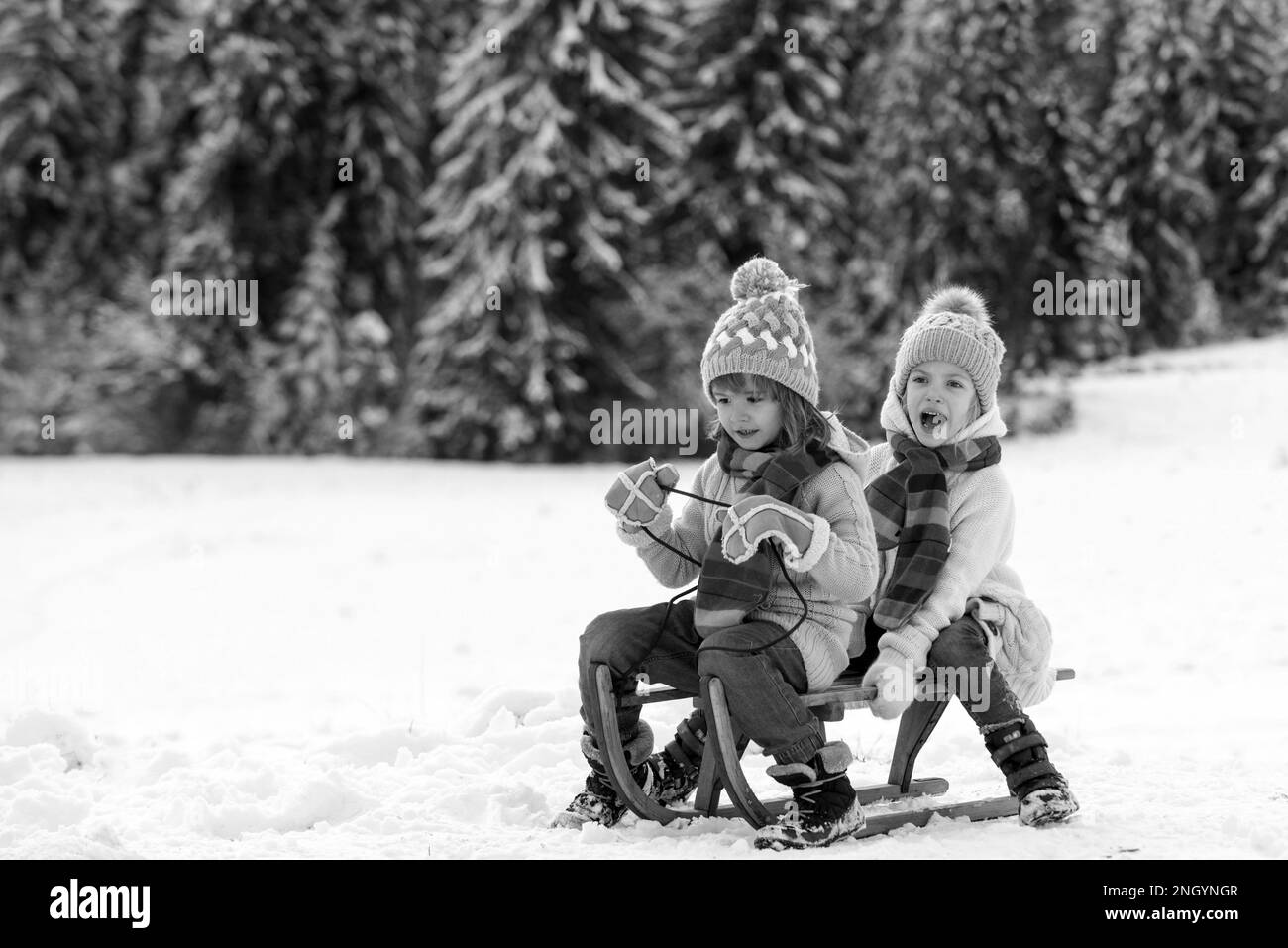 Kids ride on a wooden retro sled on a winter day. Active winter outdoors games. Happy Christmas vacation. Stock Photo