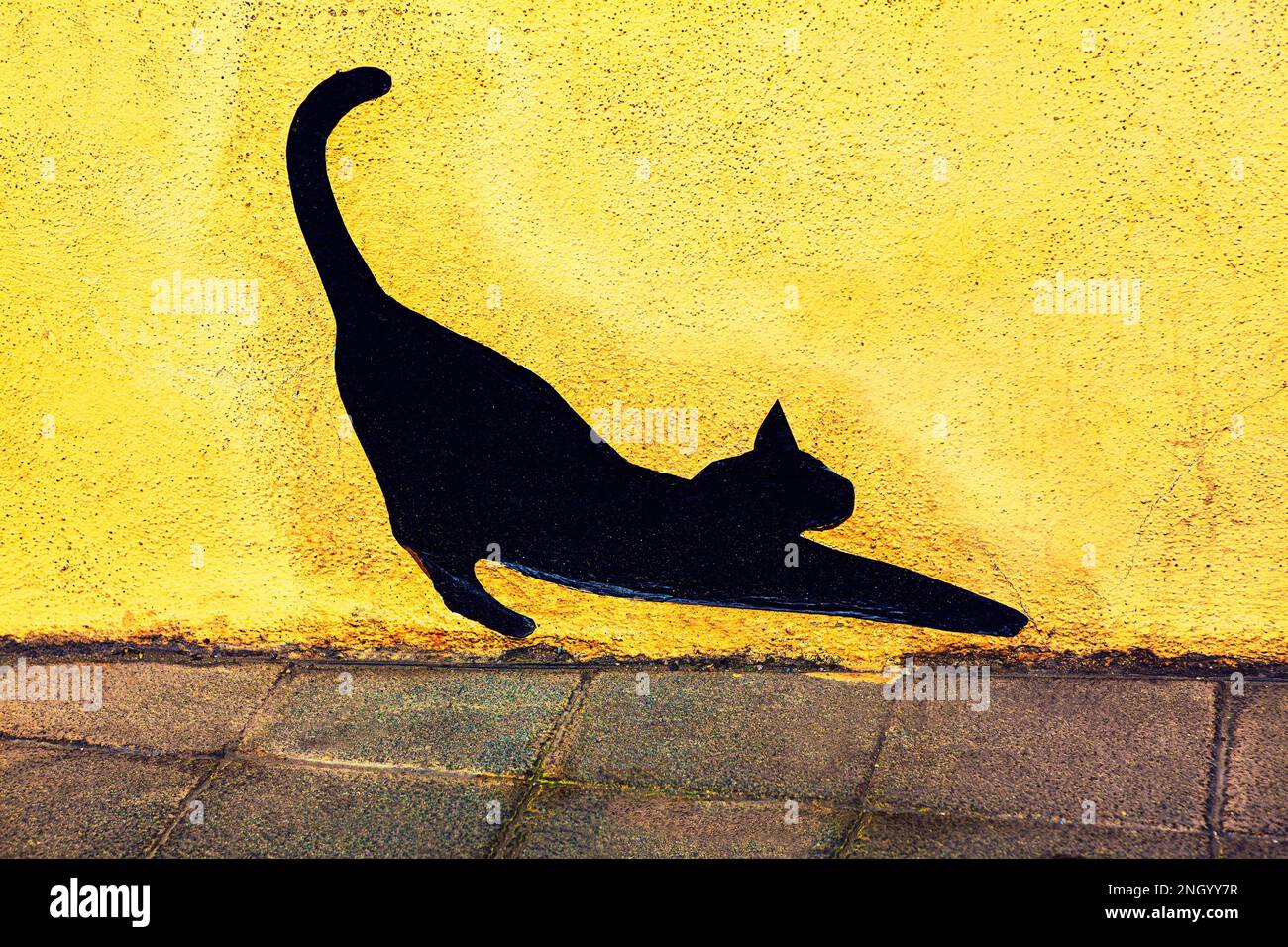 Cat silhouette on the wall . Black cat at yellow background Stock Photo ...