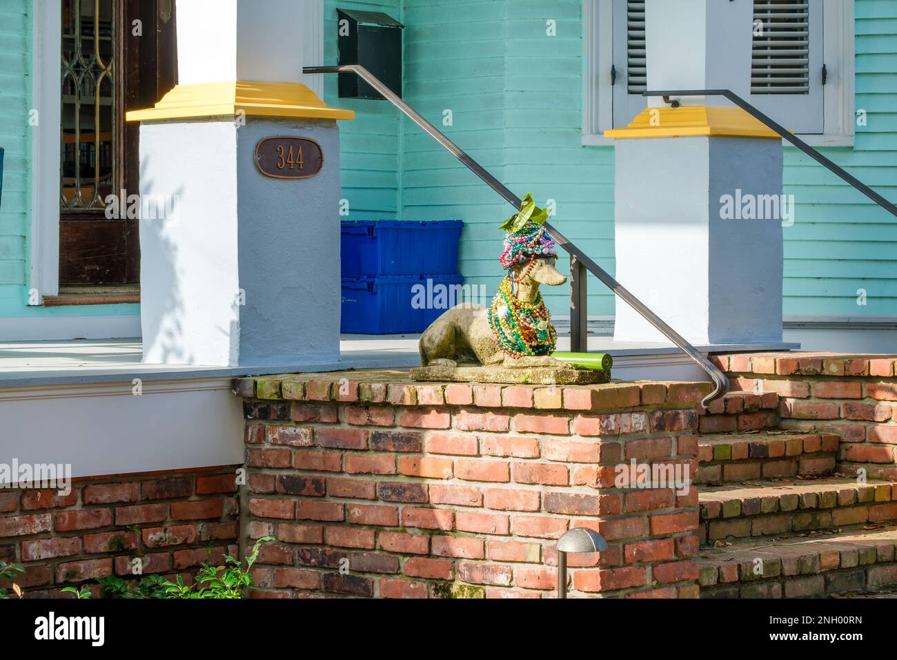 mardi gras beads dog