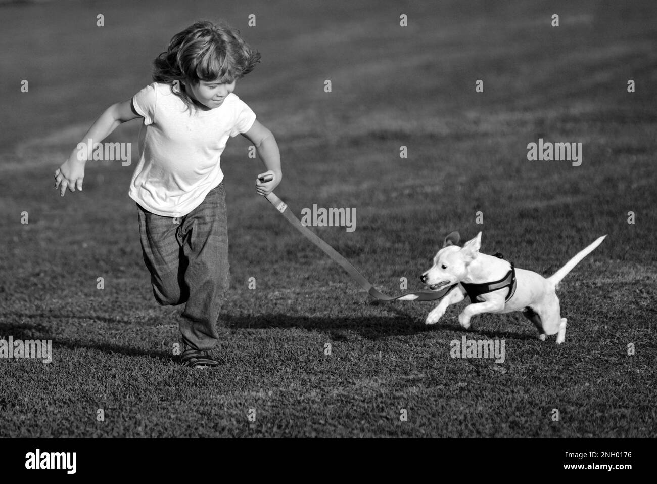 Boy running and playing with dog on the lawn in the park. Pet with
