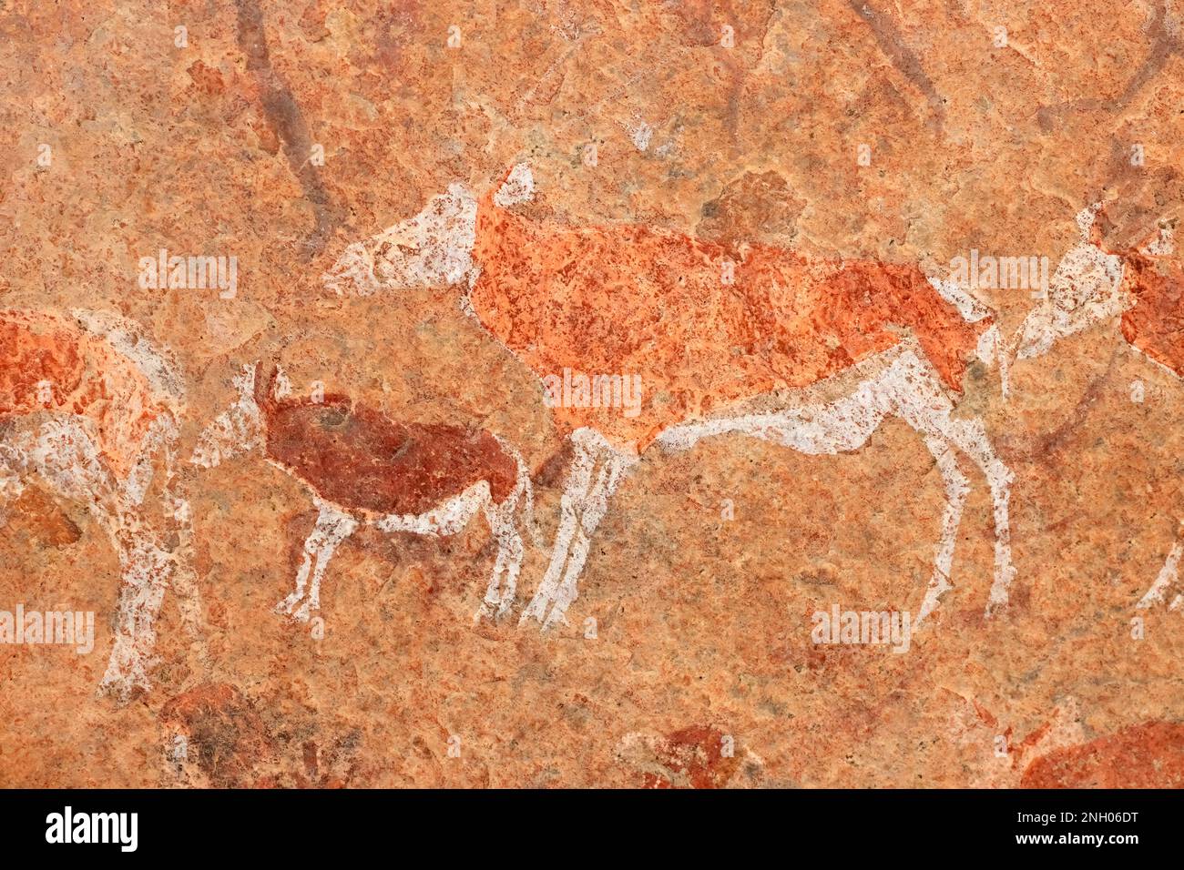 Bushmen rock painting of African antelopes, Brandberg mountain, Namibia Stock Photo