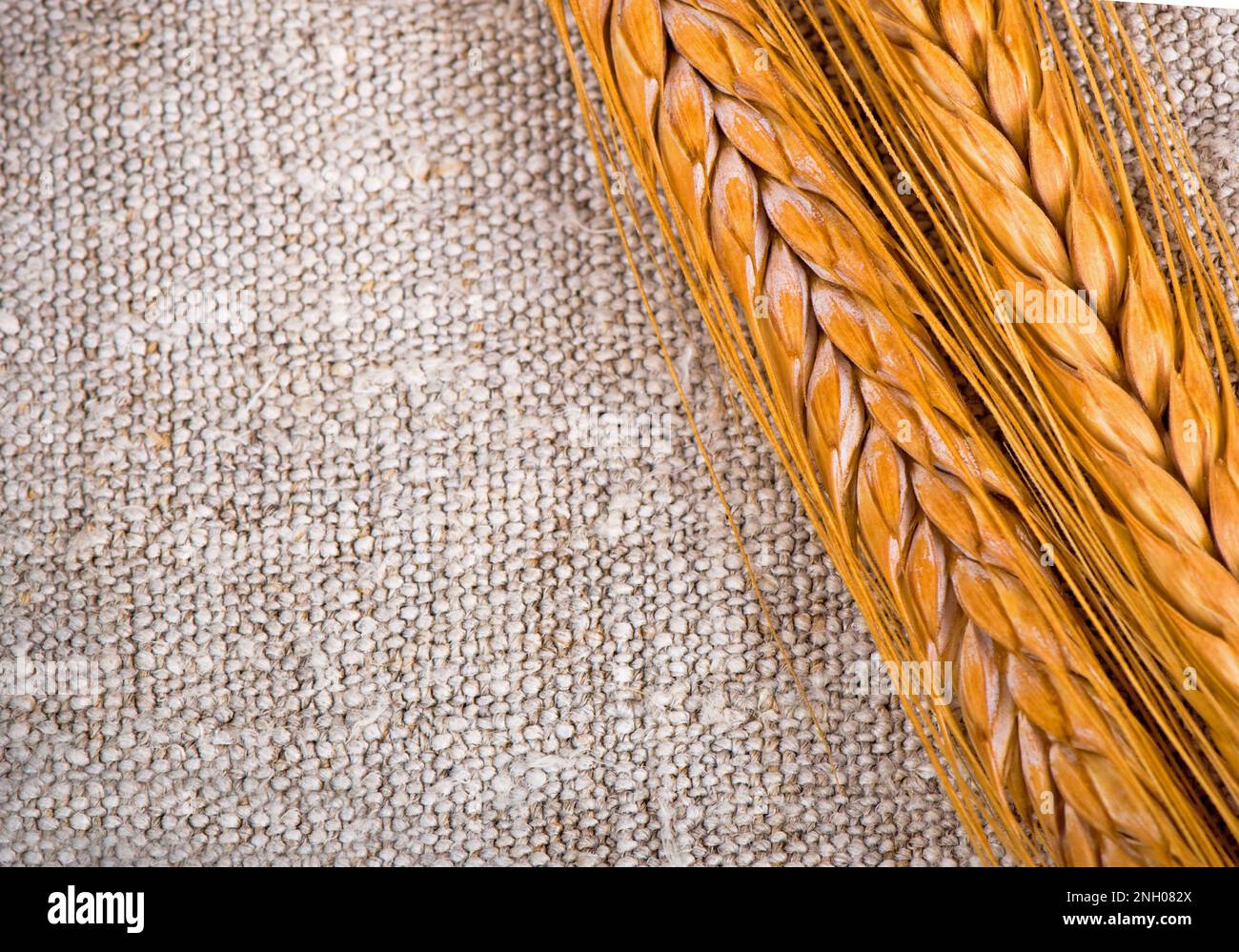 Eco friendly banner with ears of rye and wheat on a linen background ...