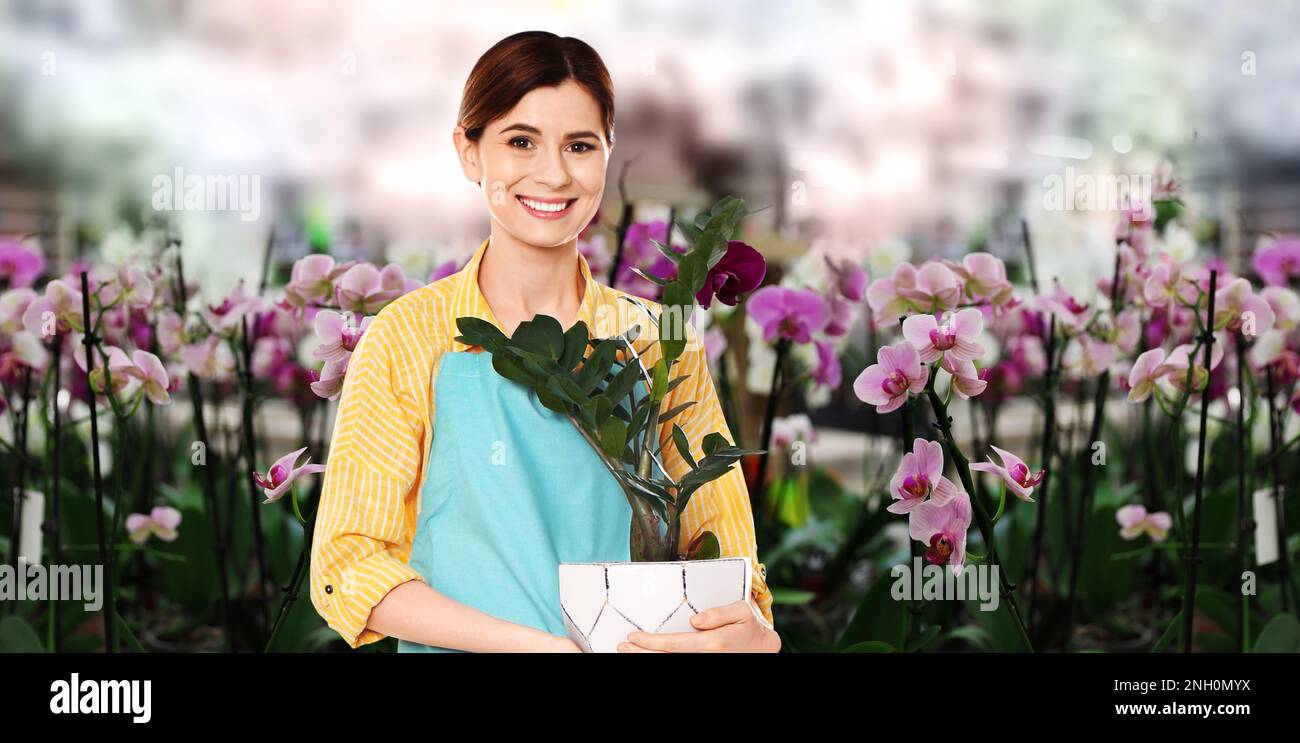 Florist holding houseplant in shop. Banner design Stock Photo