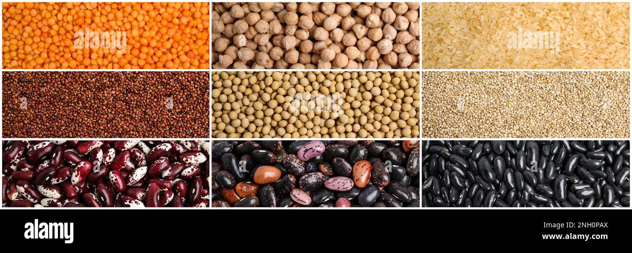 Collage with photos of different legumes and seeds, banner design. Vegan diet Stock Photo
